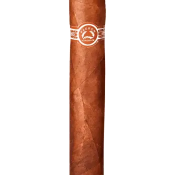 Padron 7000 Natural