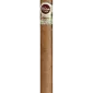 Padron 1964 ASeries Principe Natural
