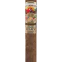 Ashton San Cristobal Revelation Robusto