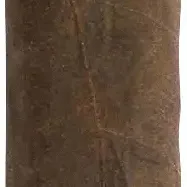 Padron 1926 #48 Maduro